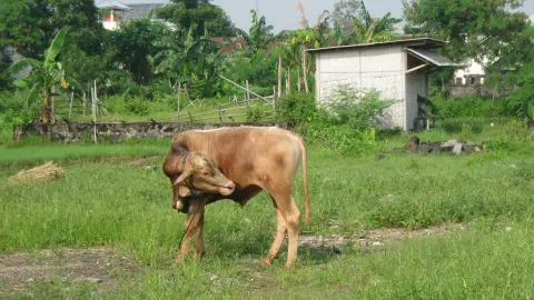 Suspendisse hendrerit ante eget arcu ullamcorper rutrum