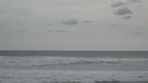 Duis tristique egestas purus, ac scelerisque arcu rhoncus in